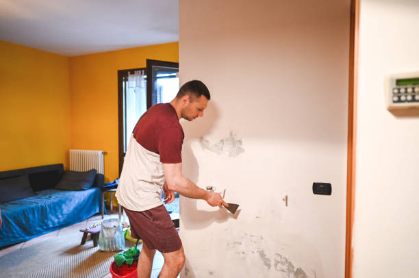 Best Residential Mold Remediation in Green Hill, TN